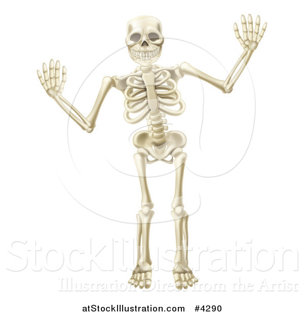 Vector Illustration of a Happy Skeleton Waving with Both Hands