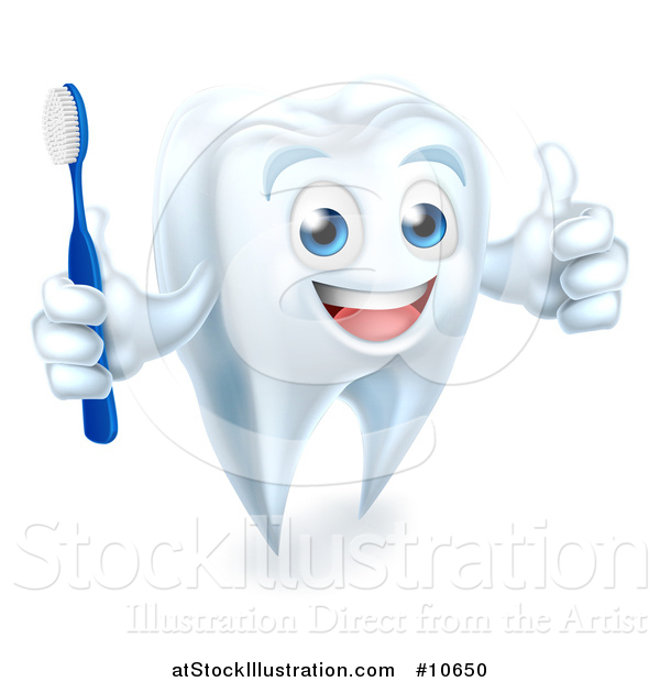 Vector Illustration of a Happy White Tooth Mascot Holding a Toothbrush and Giving a Thumb up