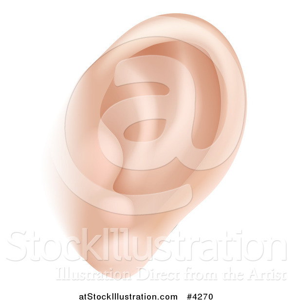 Vector Illustration of a Human Ear