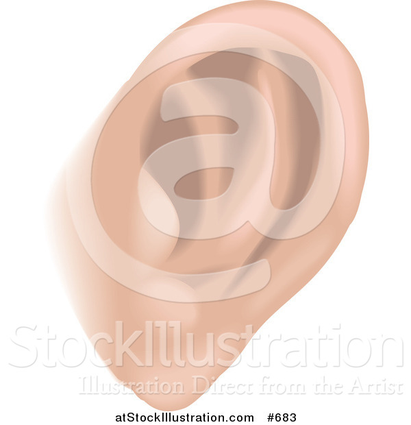 Vector Illustration of a Human Ear