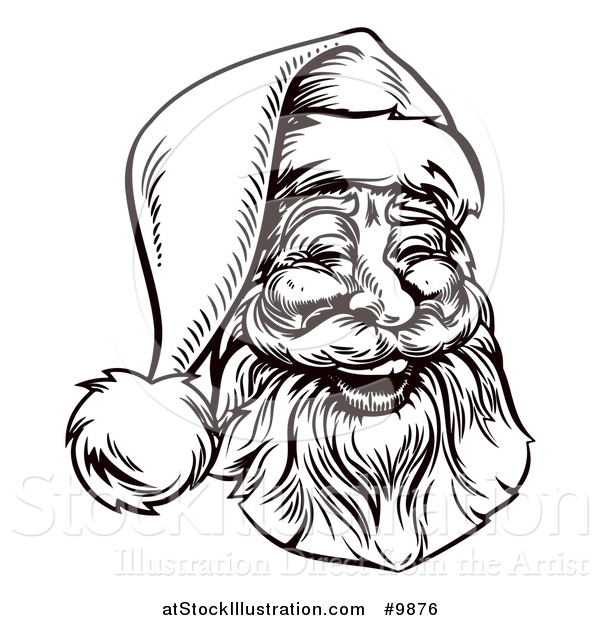 Vector Illustration of a Jolly Santa Claus Face