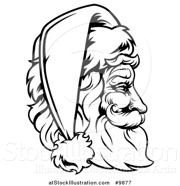 Vector Illustration of a Jolly Santa Claus Face