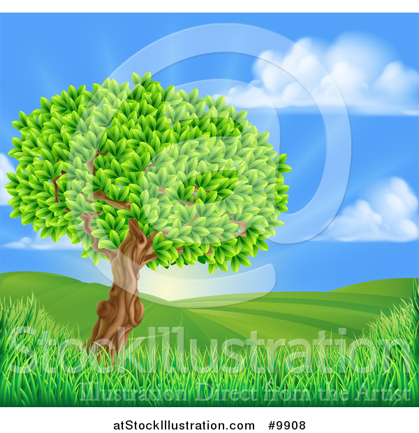Vector Illustration of a Lush Tree in a Beautiful Hilly Country Landscape at Sunrise