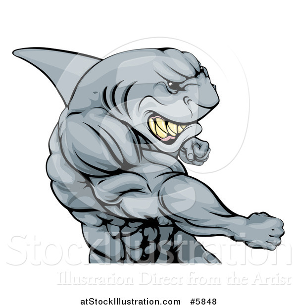Vector Illustration of a Mad Muscular Shark Man Mascot Punching