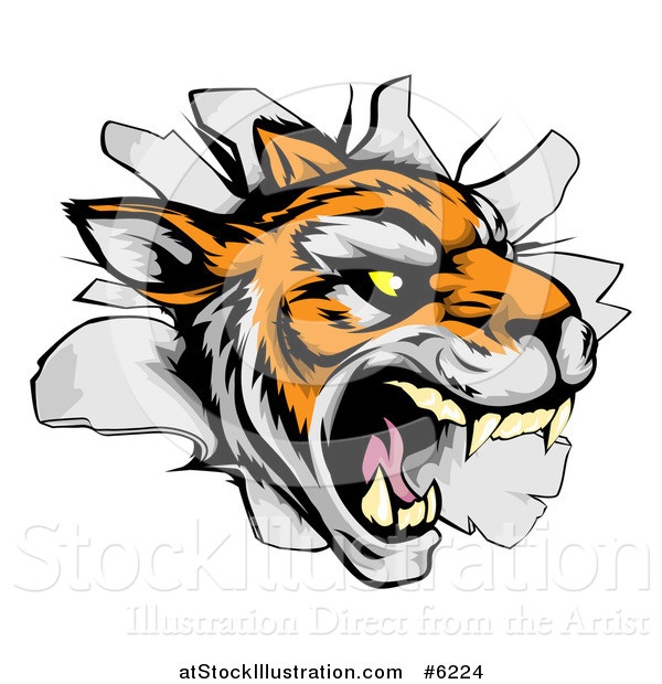 Vector Illustration of a Mad Tiger Mascot Breaking Through a Wall