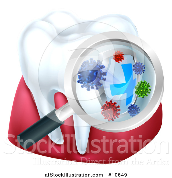 Vector Illustration of a Magnifying Glass over a Tooth and Gums, Displaying Bacteria and a Shield