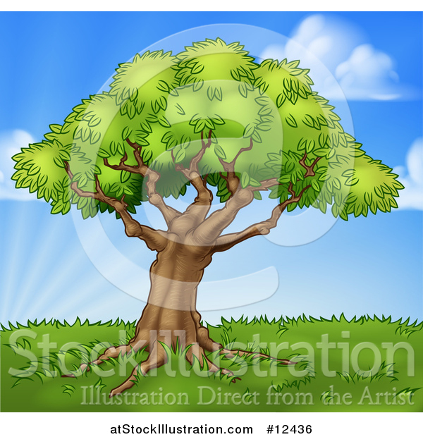 Vector Illustration of a Mature Tree on a Grassy Hill Against a Blue Sky