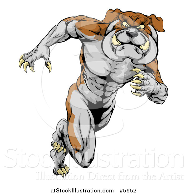 Vector Illustration of a Muscular Aggressive Bulldog Mascot Running Upright