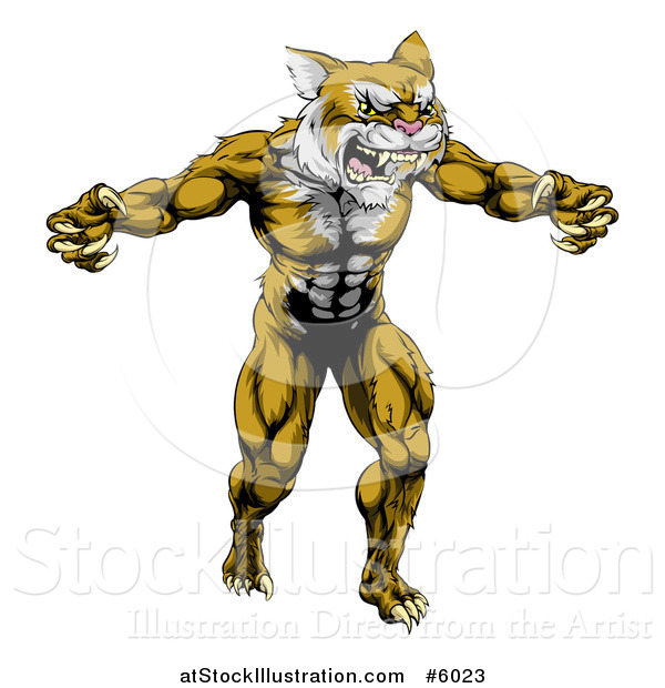 Vector Illustration of a Muscular Fierce Wildcat Man Attacking