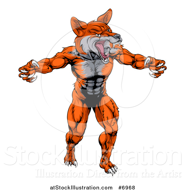 Vector Illustration of a Muscular Fox Man Mascot Lunching Forward to Attack