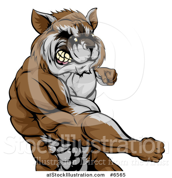 Vector Illustration of a Muscular Raccoon Man Mascot Punching from the Hips up