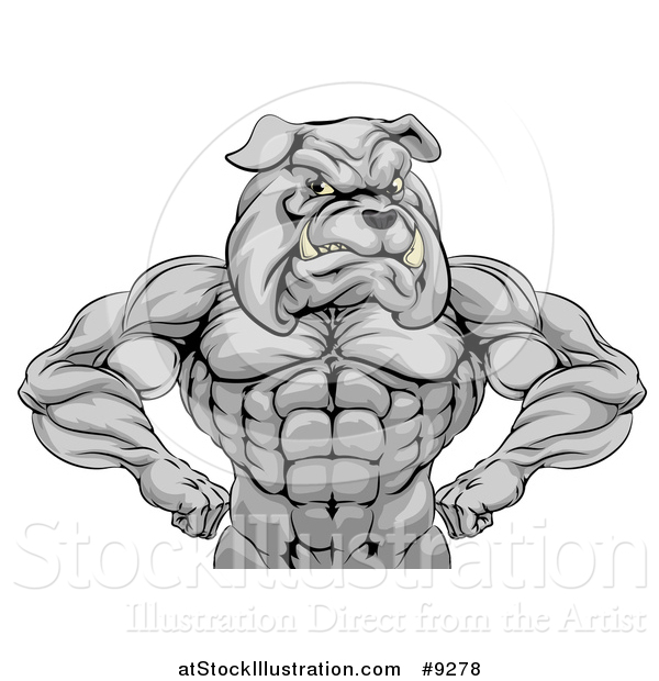 Vector Illustration of a Muscular Tough Gray Bulldog Man Mascot Flexing, from the Waist up