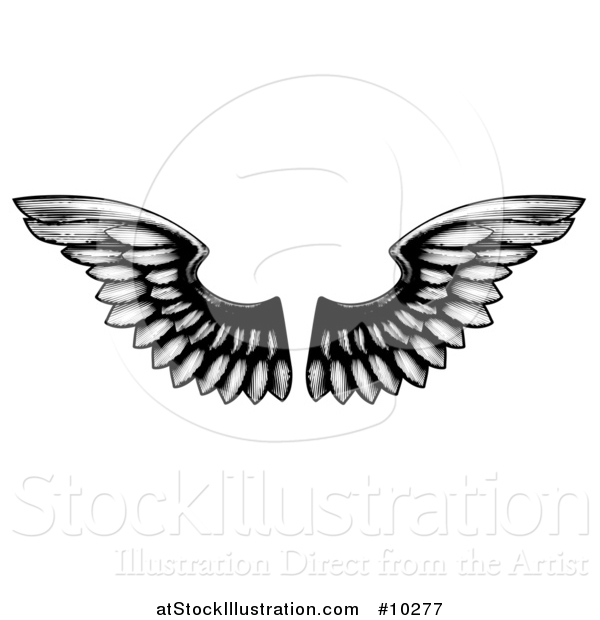 Vector Illustration of a Pair of Black and White Etched Wings