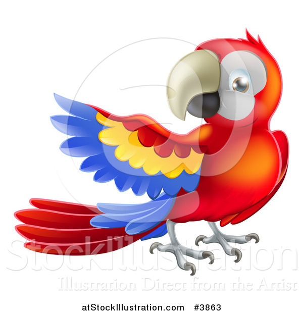 Vector Illustration of a Presenting Scarlet Macaw Parrot