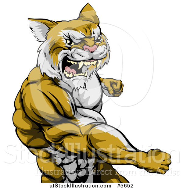 Vector Illustration of a Punching Muscular Cougar Man Mascot