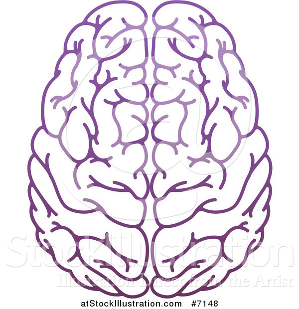 Vector Illustration of a Purple Human Brain