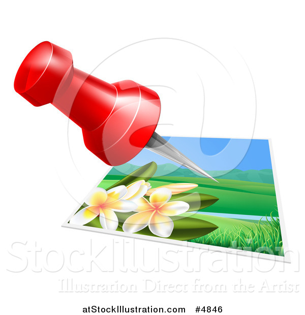 Vector Illustration of a Red Pin over a Plumera Photo