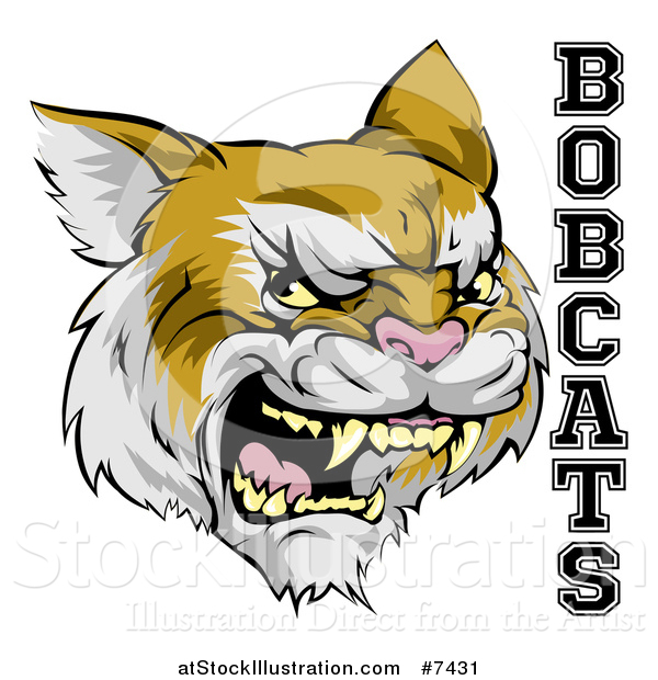 Vector Illustration of a Roaring Aggressive Bobcat Mascot Head and Text