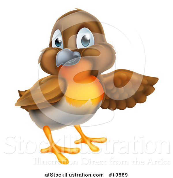 Vector Illustration of a Robin Bird Presenting to the Right