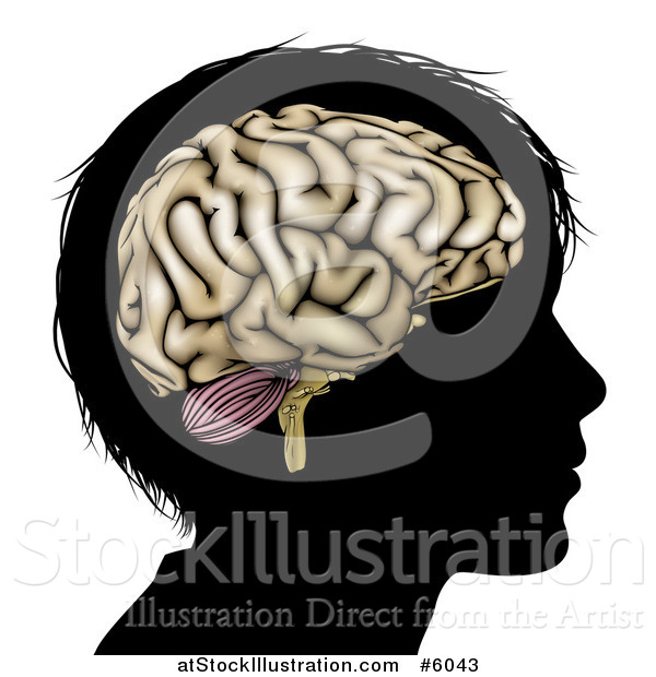 Vector Illustration of a Silhouetted Boys Head with a Brain
