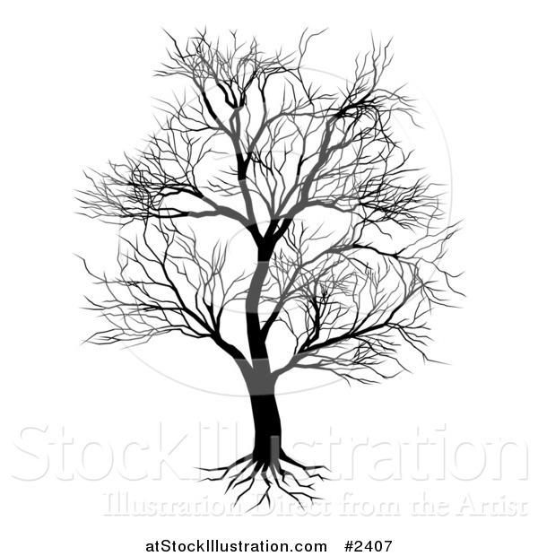 Vector Illustration of a Silhouetted Mature Bare Tree and Roots