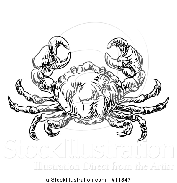 Vector Illustration of a Sketched Black and White Seafood Crab