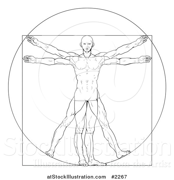 Vector Illustration of a Sketched Vitruvian Man