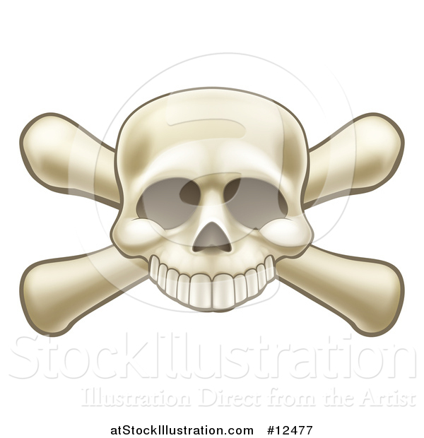 Vector Illustration of a Skull Missing a Lower Jaw and Crossbones