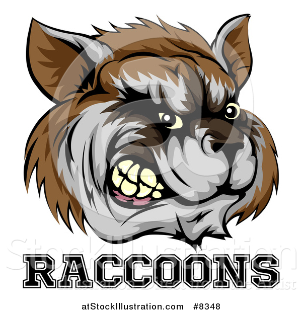 Vector Illustration of a Snarling Aggressive Raccoon Mascot Head and Text