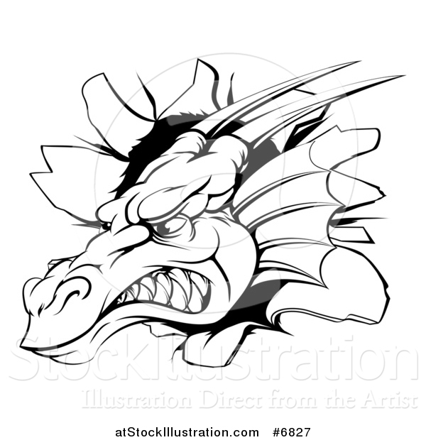 Vector Illustration of a Snarling Fierce Black and White Dragon Mascot Head Breaking Through a Wall