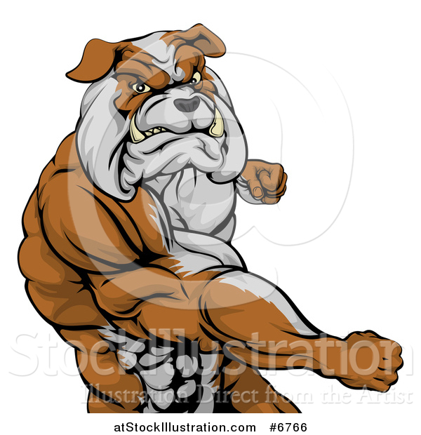 Vector Illustration of a Snarling Muscular Bulldog Man Punching