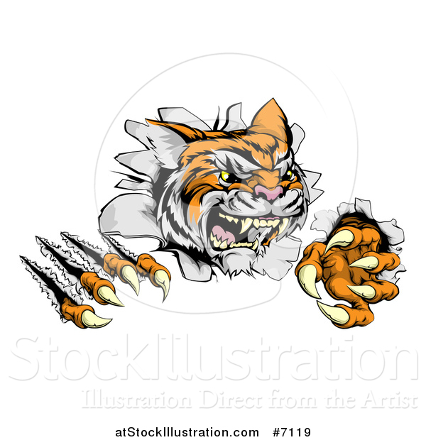 Vector Illustration of a Snarling Tiger Mascot Slashing Through a Wall