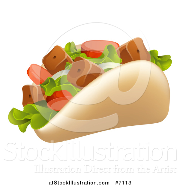 Vector Illustration of a Souvlaki Kebab Sandwich