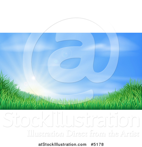 Vector Illustration of a Sun Rising over a Grassy Landscape Against a Blue Sky