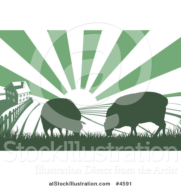 Vector Illustration of a Sunrise over a Green Silhouetted Farm House with Cows and Fields