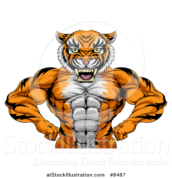 Vector Illustration of a Tough Bodybuilder Tiger Man Flexing His Big Muscles, from the Waist up