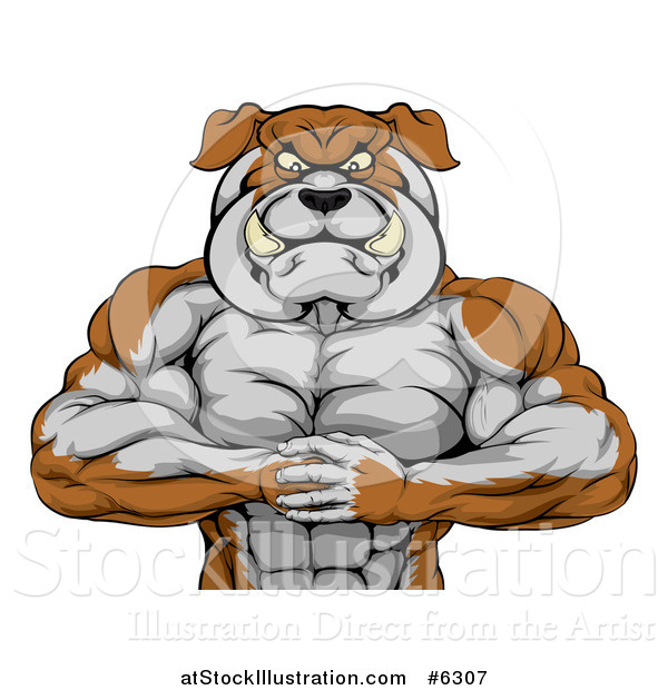 Vector Illustration of a Tough Muscular Bulldog Man Punching One Fist into a Palm