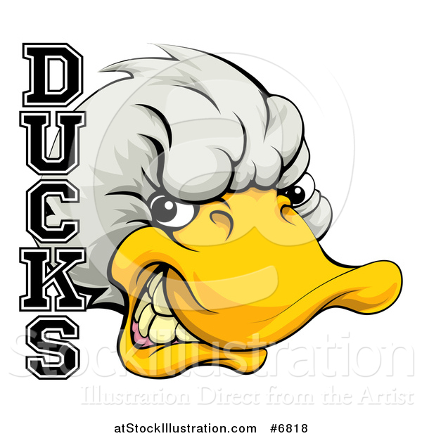 Vector Illustration of a Tough White Duck Mascot Head and Text