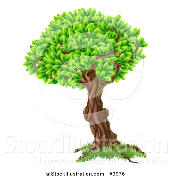 Vector Illustration of a Tree with a Textured Trunk and Lush Foliage