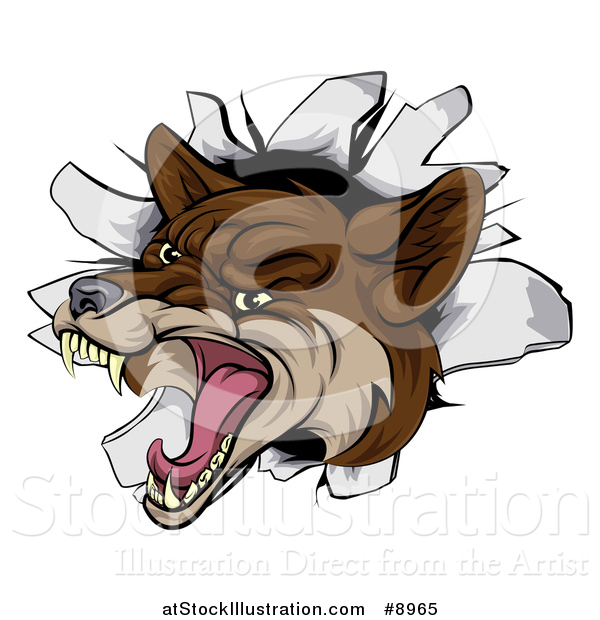 Vector Illustration of a Vicious Coyote Mascot Head Breaking Through a Wall