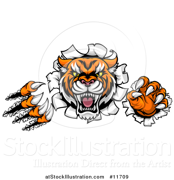 Vector Illustration of a Vicious Tiger Mascot Slashing Through a Wall