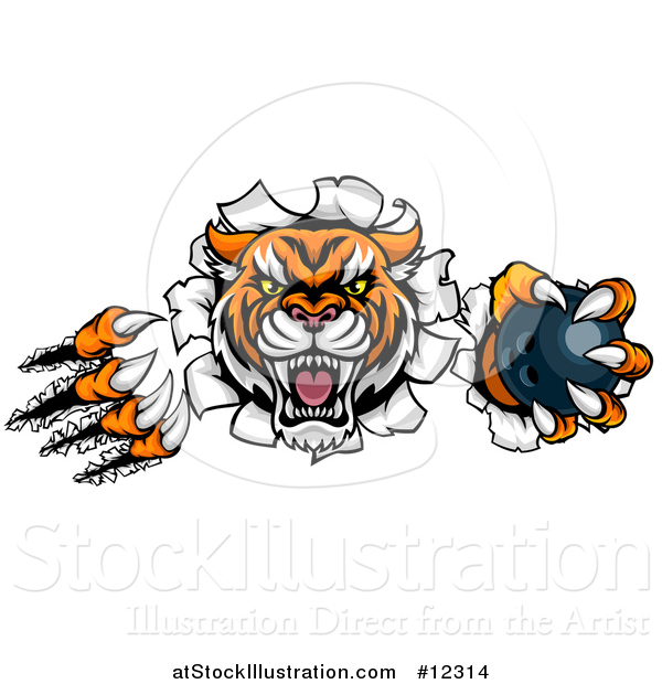Vector Illustration of a Vicious Tiger Mascot Slashing Through a Wall with a Bowling Ball