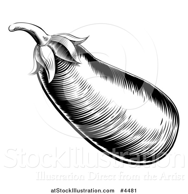 Vector Illustration of a Vintage Woodcut Styled Aubergine Eggplant in Black and White
