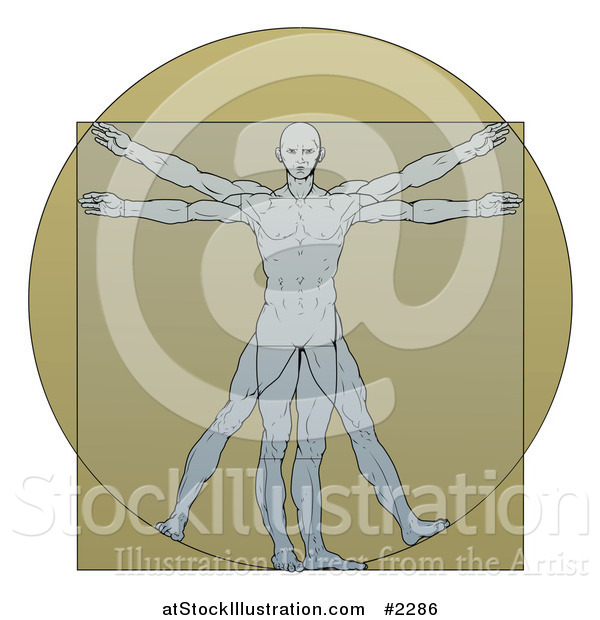 Vector Illustration of a Vitruvian Man over Tan