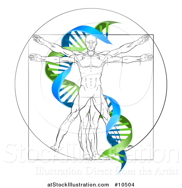 Vector Illustration of a Vitruvian Man with a Green and Blue Double Helix