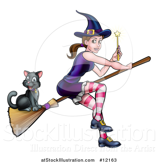 Vector Illustration of a Witch Holding a Magic Wand and Cat Flying on a Broomstick