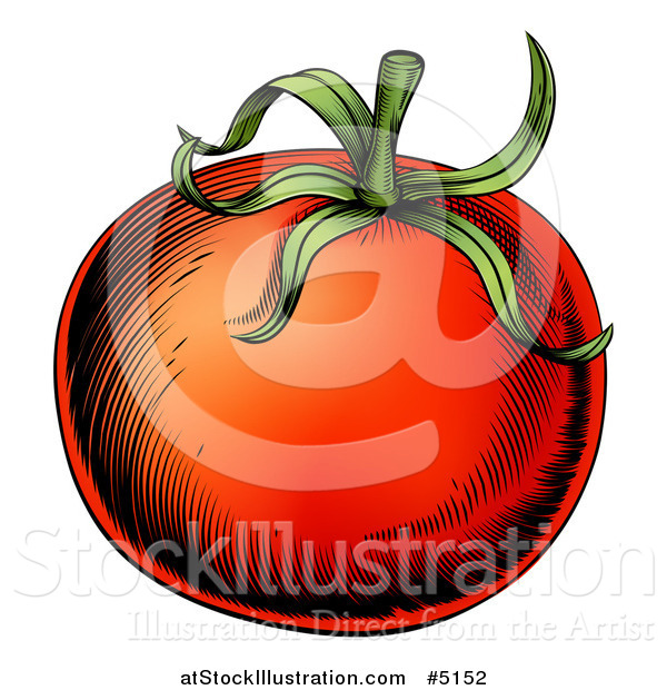Vector Illustration of a Woodblock Tomato