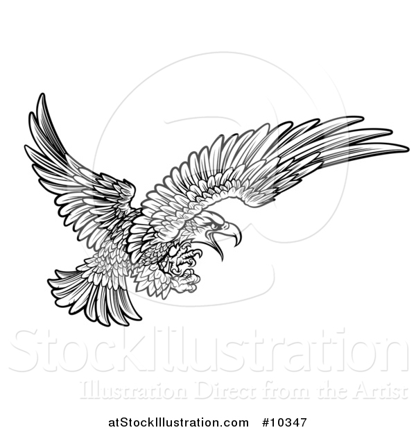 Vector Illustration of a Woodcut Black and White Eagle Swooping with Talons Extended
