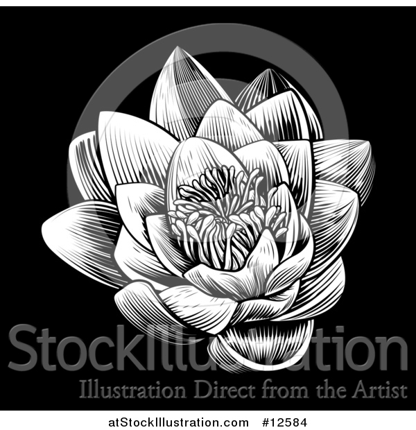 Vector Illustration of a Woodcut Blooming Waterlily Lotus Flower on Black