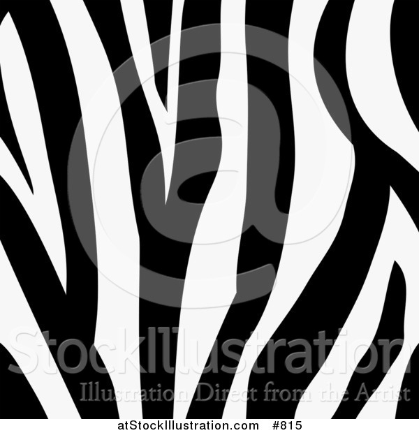Vector Illustration of a Zebra Animal Print Background with a Black and White Stripes Pattern